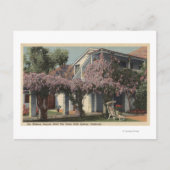 Uitzicht van het Wisteria Pergola, Oasis Hotel Briefkaart (Voorkant)