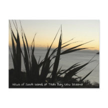 Uitzicht van het Zuid-insulaire briefkaart