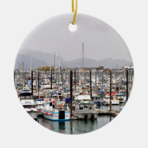 Uitzicht van Homer Alaska