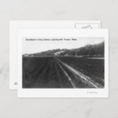 Uitzicht van Hutchinson Celery Garden Briefkaart (Voorkant / Achterkant)