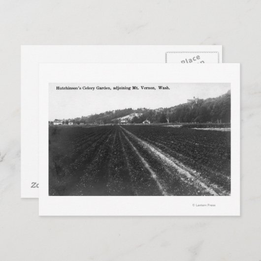 Uitzicht van Hutchinson Celery Garden Briefkaart (Voorkant / Achterkant)