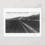 Uitzicht van Hutchinson Celery Garden Briefkaart (Voorkant)