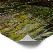 Uitzicht van Indiaas hoofd, oud Man Poster (Hoek)