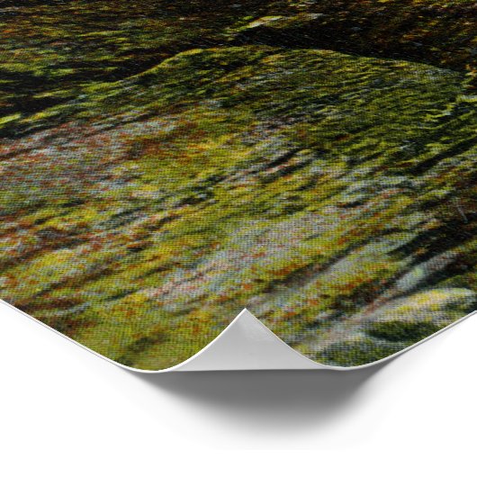 Uitzicht van Indiaas hoofd, oud Man Poster (Hoek)