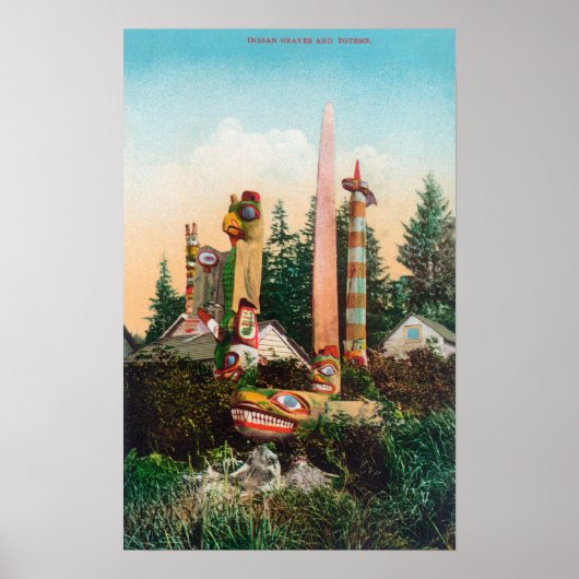 Uitzicht van Indische Graven en Totempoles Poster (Voorkant)