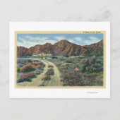 Uitzicht van ingezetenschap in de Californische wo Briefkaart (Voorkant)