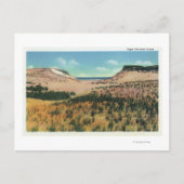 Uitzicht van Kaap Kabeljauw Sand Dunes 2 Briefkaart (Voorkant)