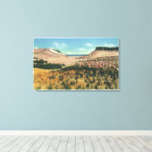 Uitzicht van Kaap Kabeljauw Sand Dunes 2 Canvas Afdruk (Insitu (Houten vloer))