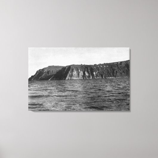 Uitzicht van Koningseiland Alaska Foto Canvas Afdruk (Voorkant)