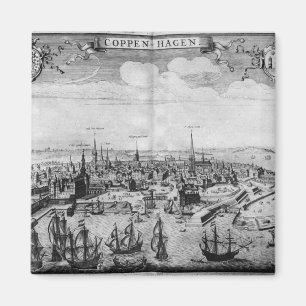 Uitzicht van Kopenhagen Magneet