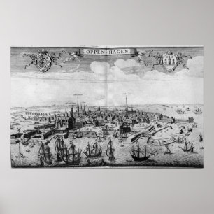 Uitzicht van Kopenhagen Poster
