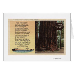 Uitzicht van lanes Redwood Flat