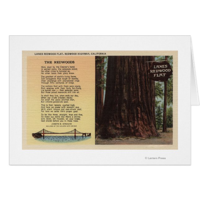 Uitzicht van lanes Redwood Flat (Voorkant Horizontaal)