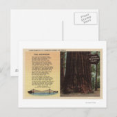 Uitzicht van lanes Redwood Flat Briefkaart (Voorkant / Achterkant)