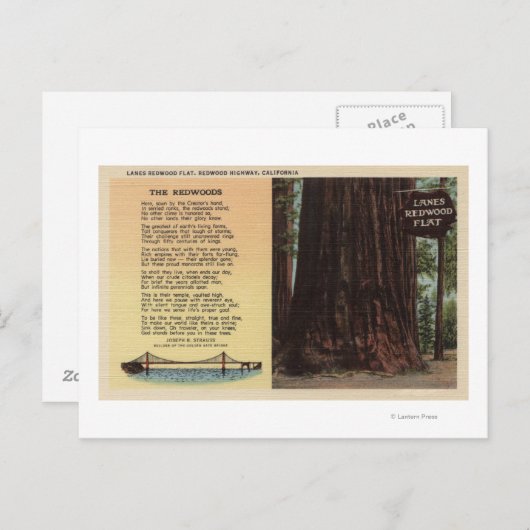 Uitzicht van lanes Redwood Flat Briefkaart (Voorkant / Achterkant)