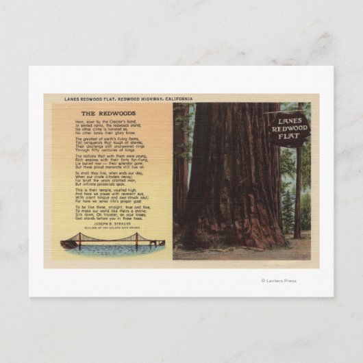 Uitzicht van lanes Redwood Flat Briefkaart (Voorkant)