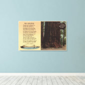 Uitzicht van lanes Redwood Flat Canvas Afdruk (Insitu (Houten vloer))