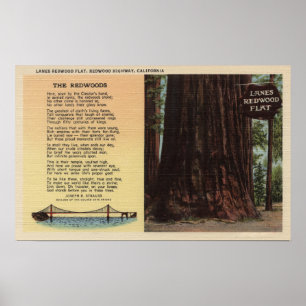 Uitzicht van lanes Redwood Flat Poster