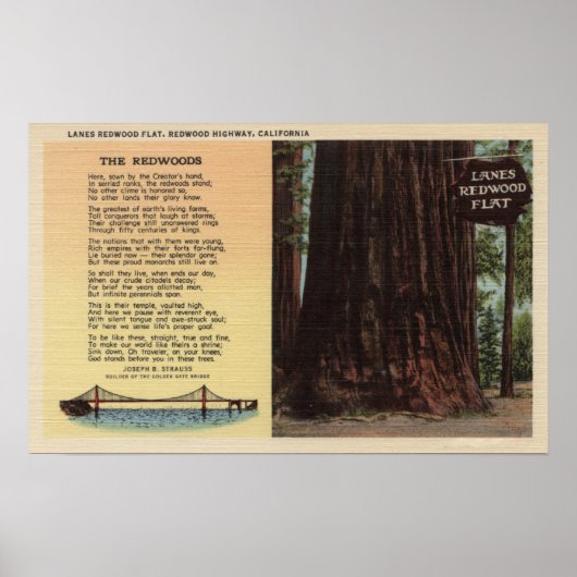 Uitzicht van lanes Redwood Flat Poster (Voorkant)