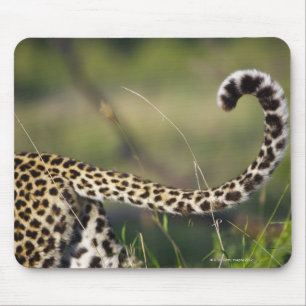 Uitzicht van luipaarstaart (Panthera pardus); Muismat