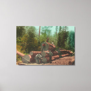 Uitzicht van Lumberjacks, Logging SceneSterling, C Canvas Afdruk