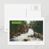 Uitzicht van Lynn Canyon-Herfsten Briefkaart (Voorkant / Achterkant)