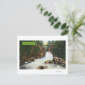 Uitzicht van Lynn Canyon-Herfsten Briefkaart (Staand voorkant)