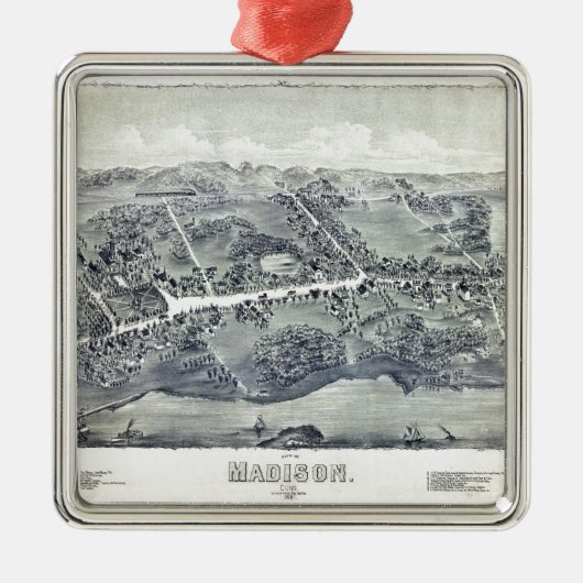 Uitzicht van Madison, Connecticut (1881) Metalen Ornament (Voorkant)