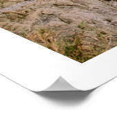 Uitzicht van Manarola Panorama Poster (Hoek)