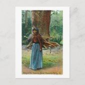 Uitzicht van Mary van de Yosemite Natives die Briefkaart (Voorkant)