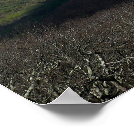 Uitzicht van Mary's Rock Poster (Hoek)