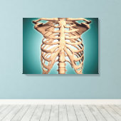 Uitzicht van menselijke ribbenkooi canvas afdruk (Insitu (Houten vloer))