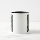 Uitzicht van Minnehaha Gorge Mok (Midden)