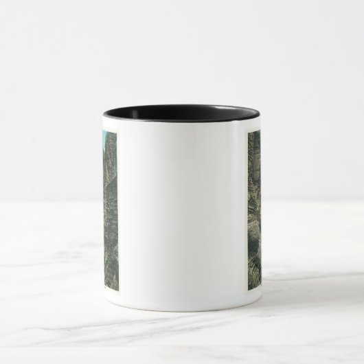 Uitzicht van Minnehaha Gorge Mok (Midden)