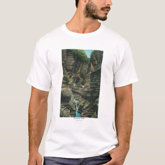 Uitzicht van Minnehaha Gorge T-shirt (Voorkant)