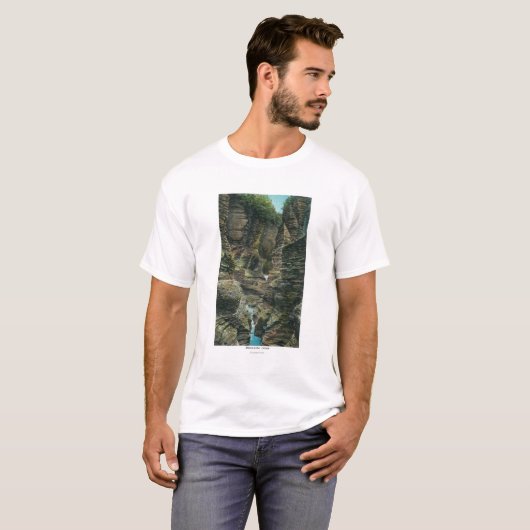 Uitzicht van Minnehaha Gorge T-shirt (Voorkant volledig)