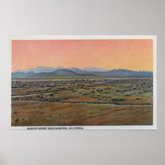 Uitzicht van Mohave Desert Poster (Voorkant)