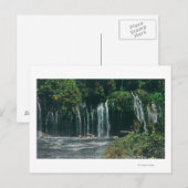 Uitzicht van Mossbrae FallsShasta Springs, CA Briefkaart (Voorkant / Achterkant)