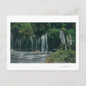 Uitzicht van Mossbrae FallsShasta Springs, CA Briefkaart (Voorkant)