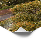 Uitzicht van Mount Buninyong Glossy Poster (Hoek)