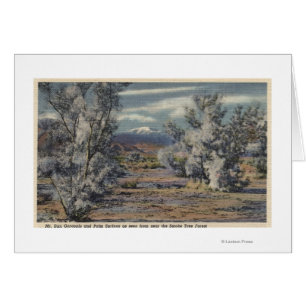 Uitzicht van Mt. San Gorgonio & Palm Springs