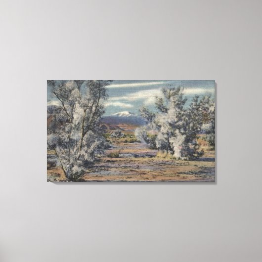 Uitzicht van Mt. San Gorgonio & Palm Springs Canvas Afdruk (Voorkant)