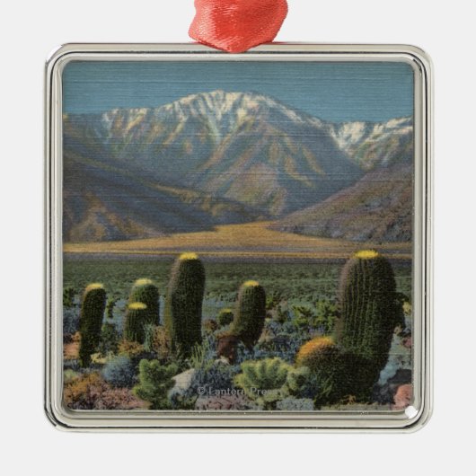 Uitzicht van Mt. San Jacinto Near Palm Springs Metalen Ornament (Voorkant)