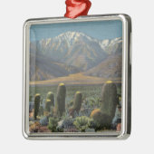 Uitzicht van Mt. San Jacinto Near Palm Springs Metalen Ornament (Links)