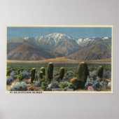 Uitzicht van Mt. San Jacinto Near Palm Springs Poster (Voorkant)