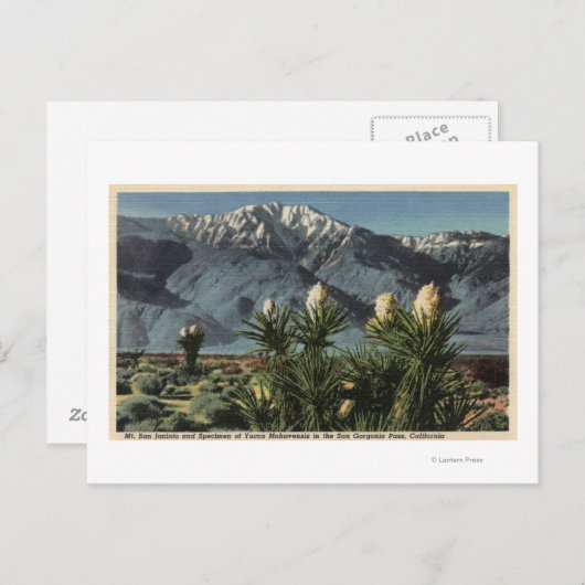Uitzicht van Mt. San Jacinto, Yucca Mohavensis Briefkaart (Voorkant / Achterkant)
