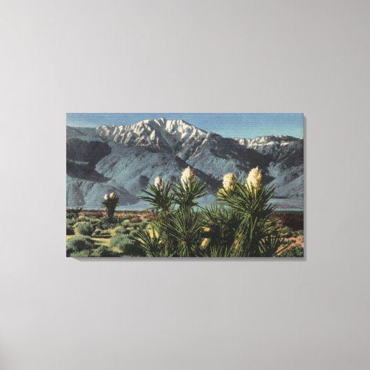 Uitzicht van Mt. San Jacinto, Yucca Mohavensis Canvas Afdruk (Voorkant)