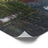 Uitzicht van Mt. Shasta van de Sisson Fish Hatcher Poster (Hoek)