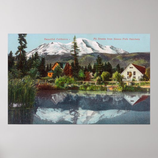 Uitzicht van Mt. Shasta van de Sisson Fish Hatcher Poster (Voorkant)