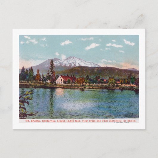 Uitzicht van Mt. Shasta van de vishatchery Briefkaart (Voorkant)